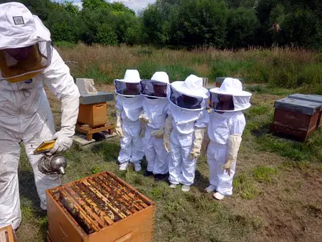 Kids beekeeping Original