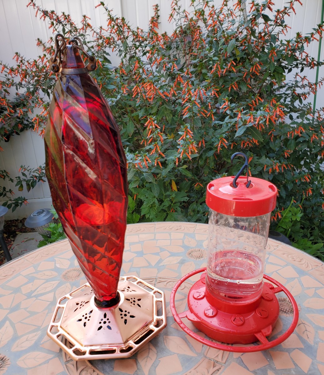 Why Won’t Hummingbirds Come To My Feeder?