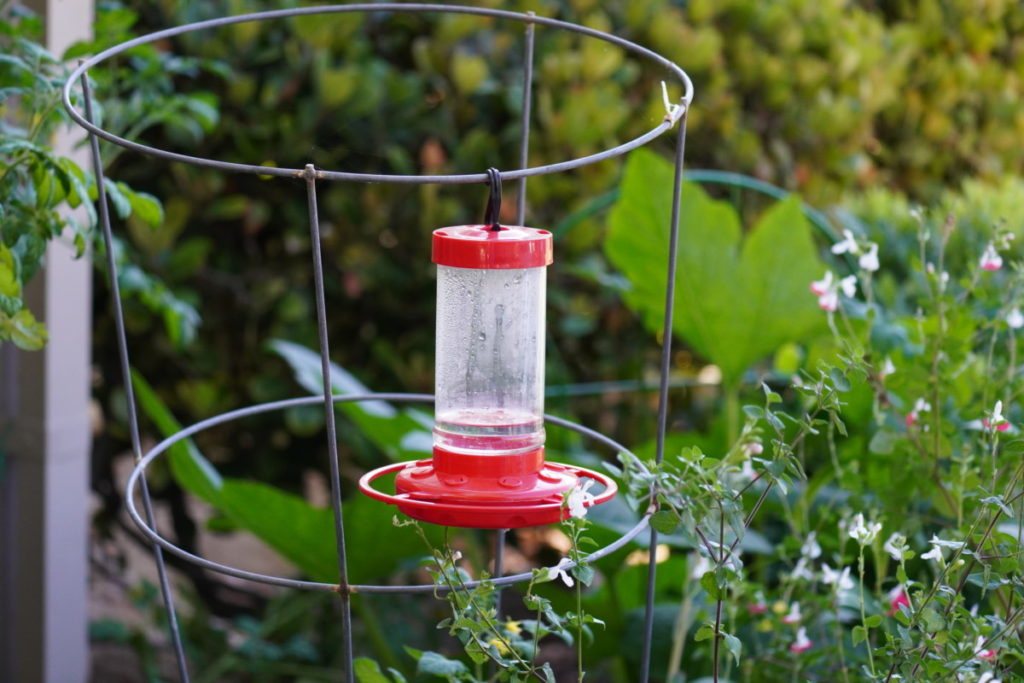 EMPTY FEEDER 3