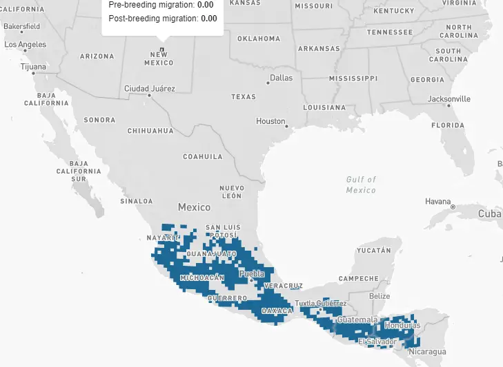 Mexican Violetear Overwintering Map Picture