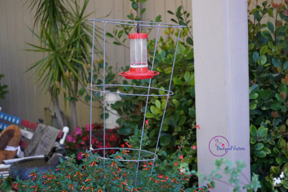 Clear Feeder RED parts 3 Watermarked